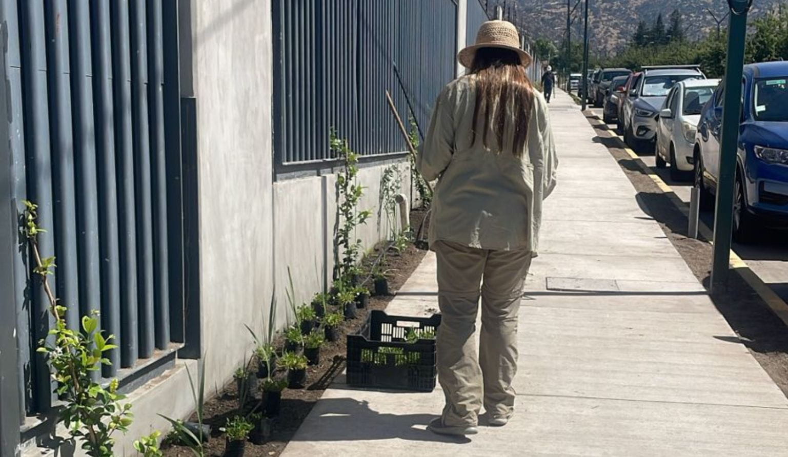 Paisajismo La Dehesa